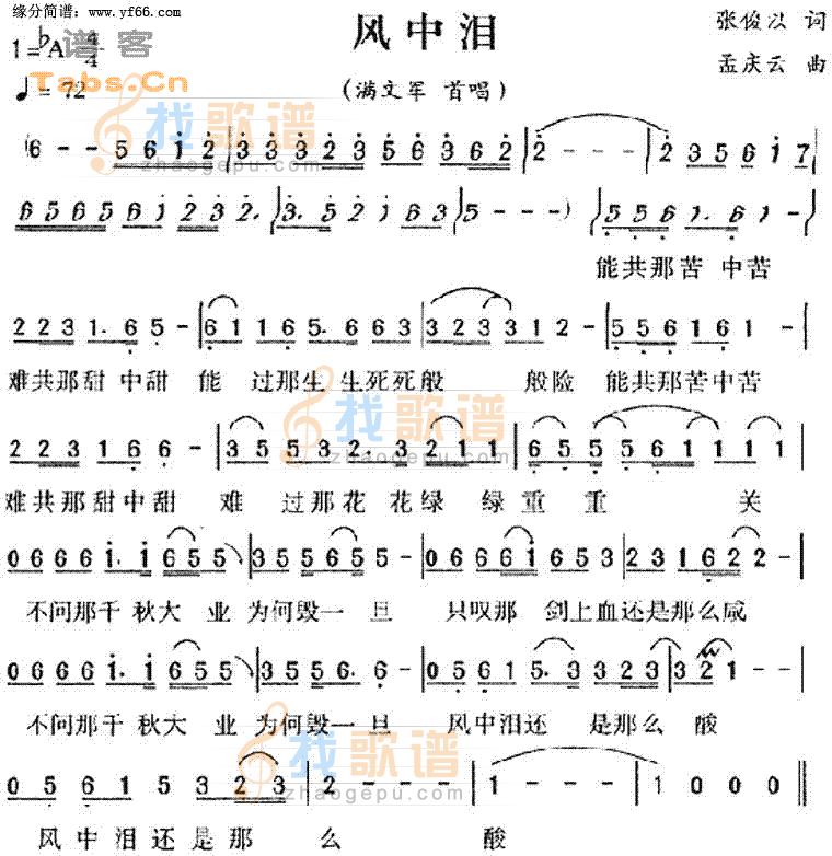 风中泪