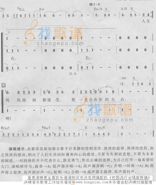 阳光总在风雨后