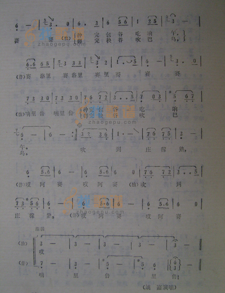 多情的巴乌