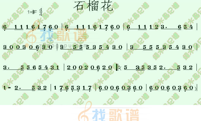 石榴花