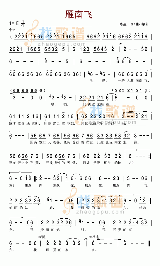 雁南飞