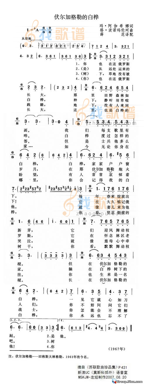伏尔加格勒的白桦