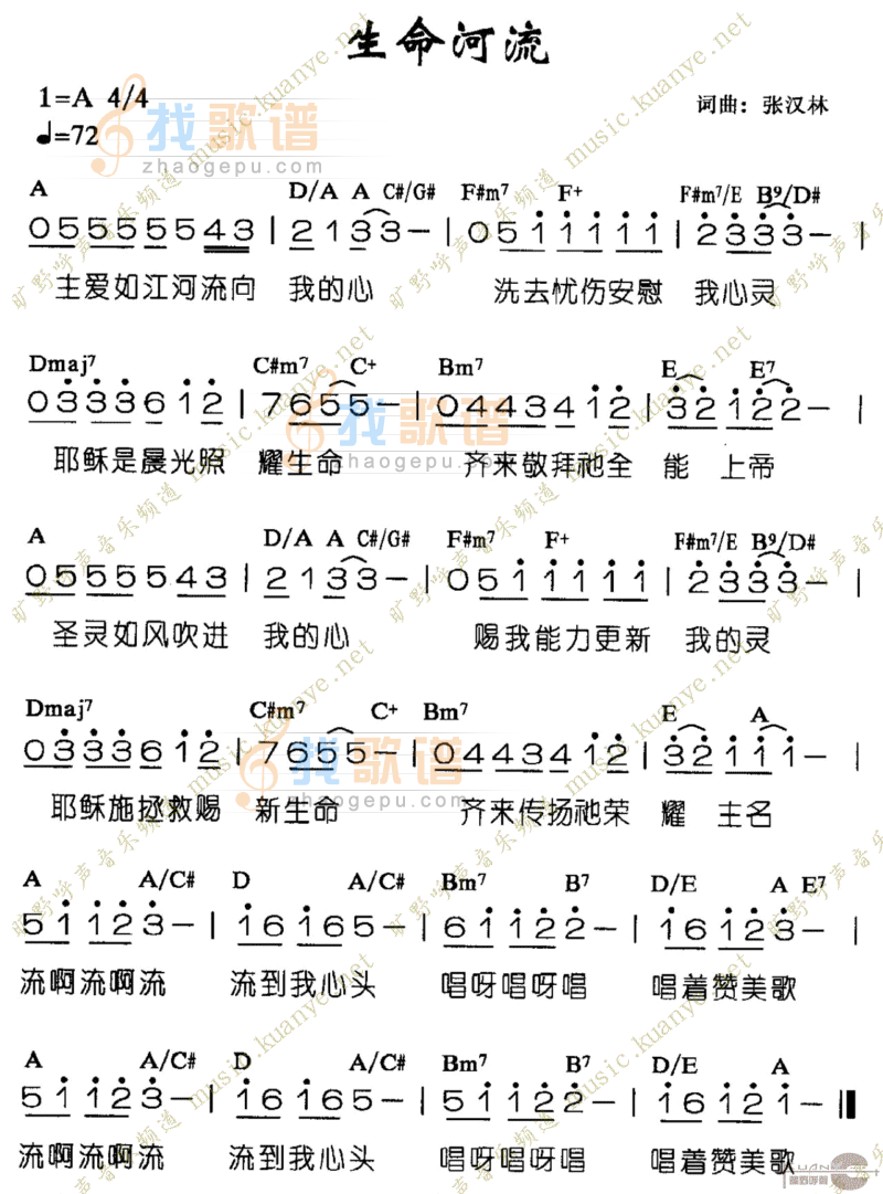 生命河流