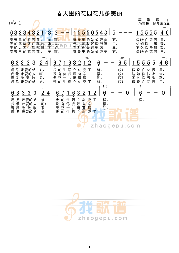 春天里的花园花儿多美丽