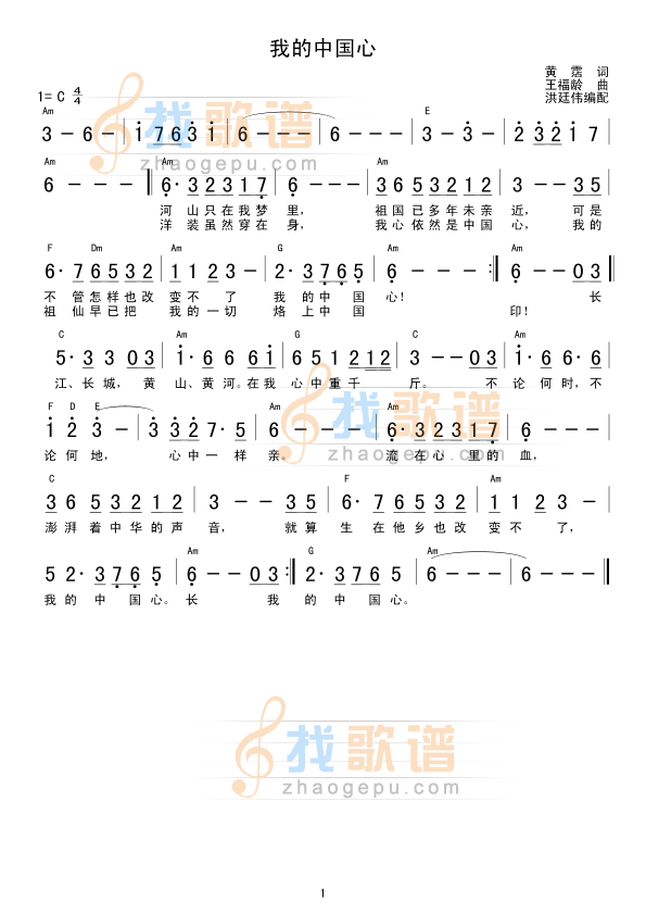 我的中国心