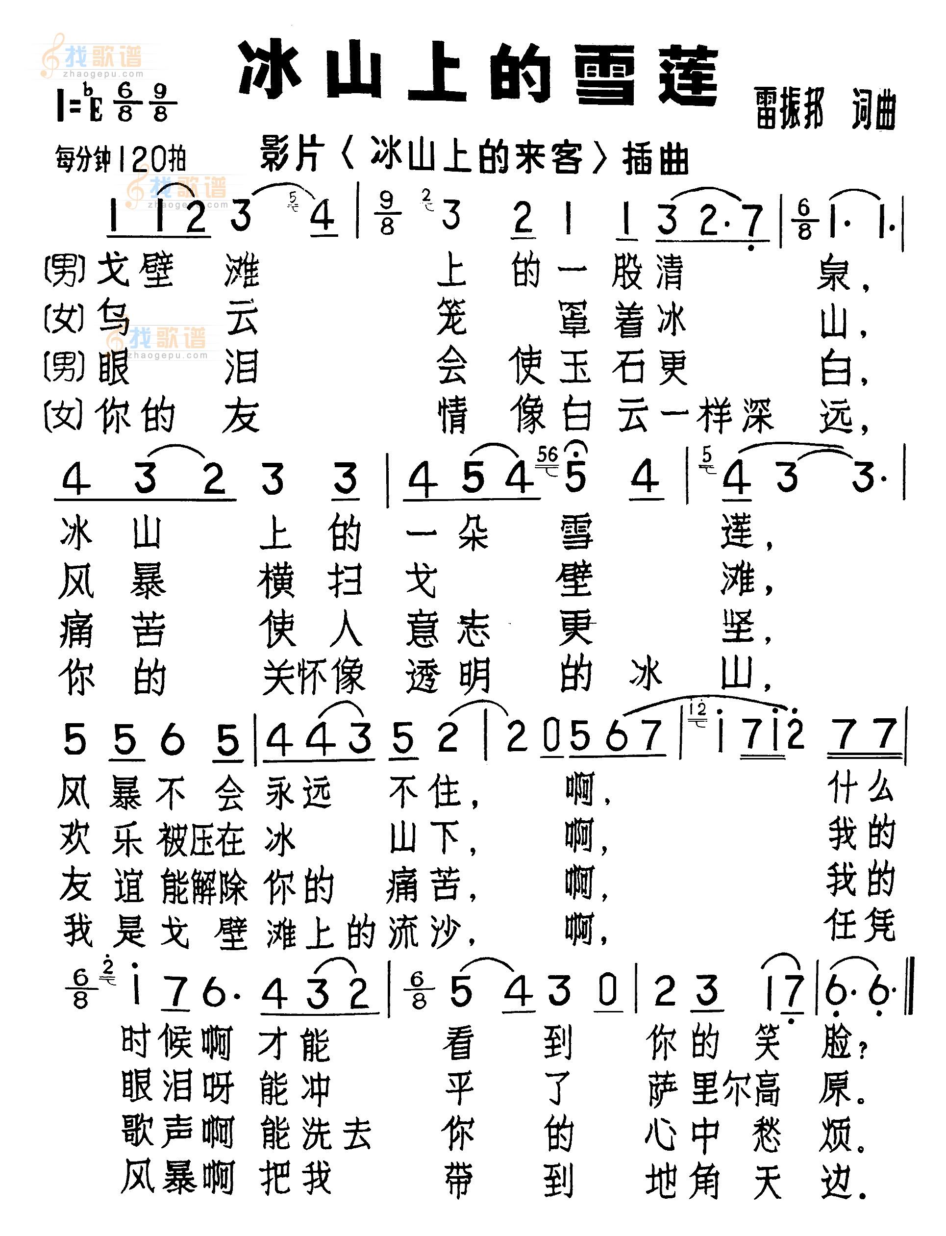 冰山上的雪莲