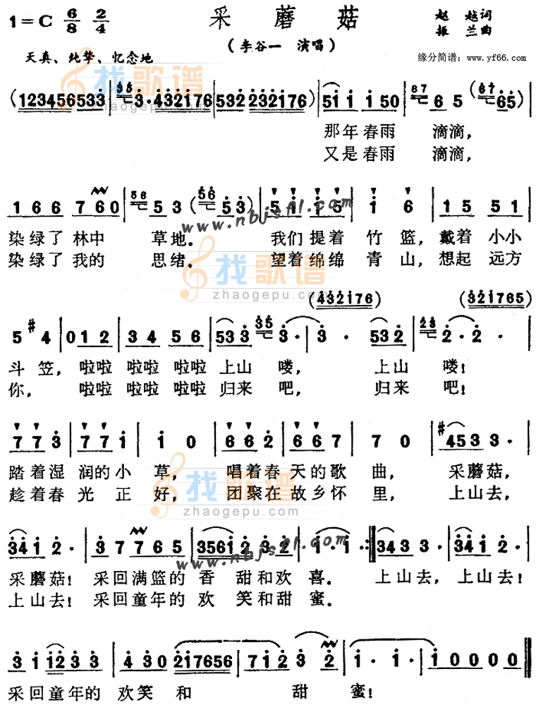 采蘑菇