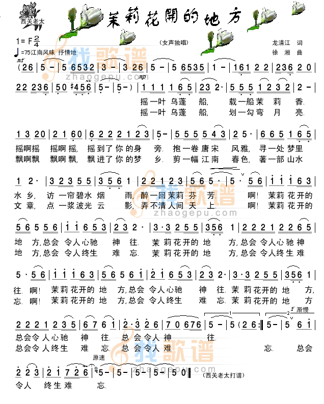 茉莉花开的地方