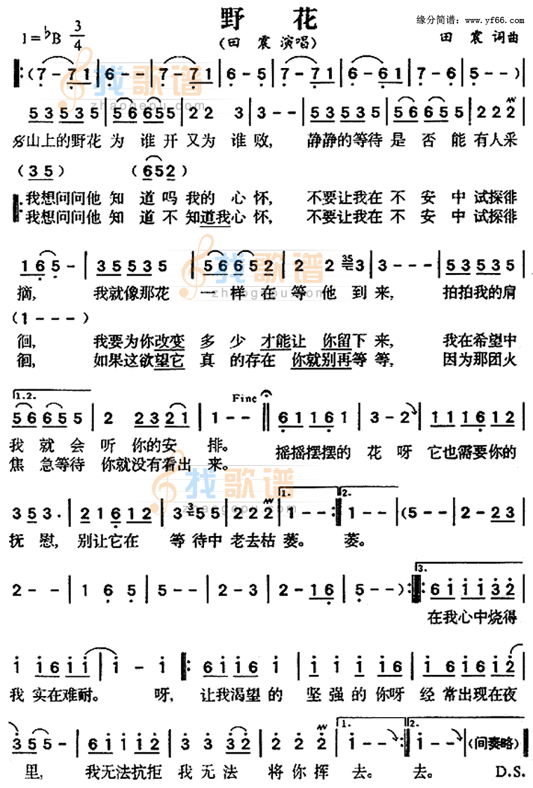 野花