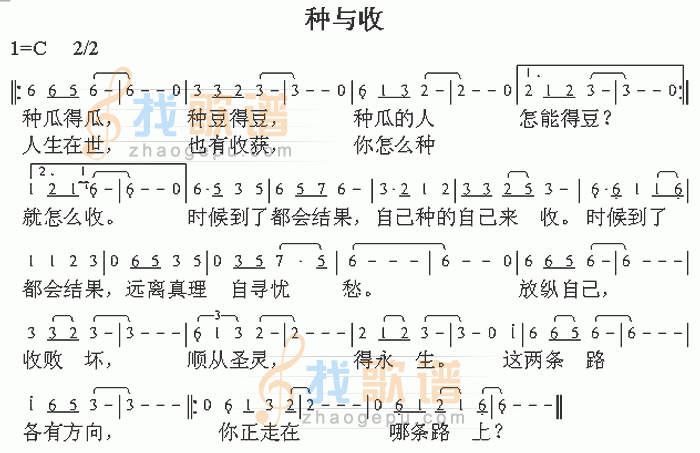 种瓜