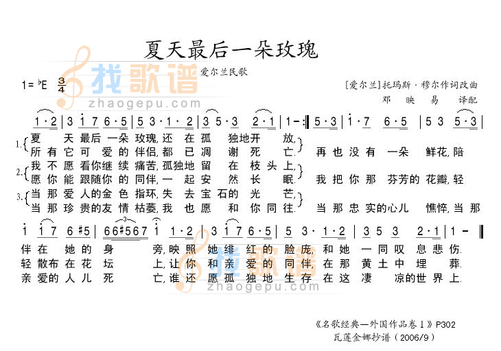夏日最后的一朵玫瑰