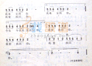 西北恋情