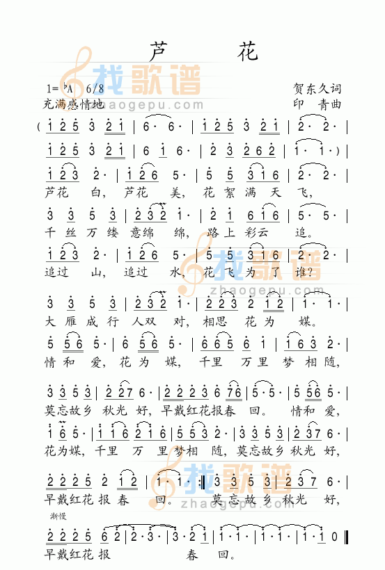 芦花