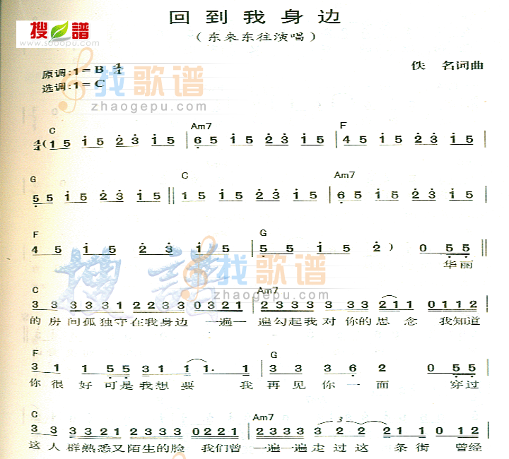 回到我身边