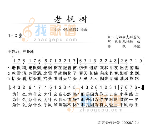 老枫树
