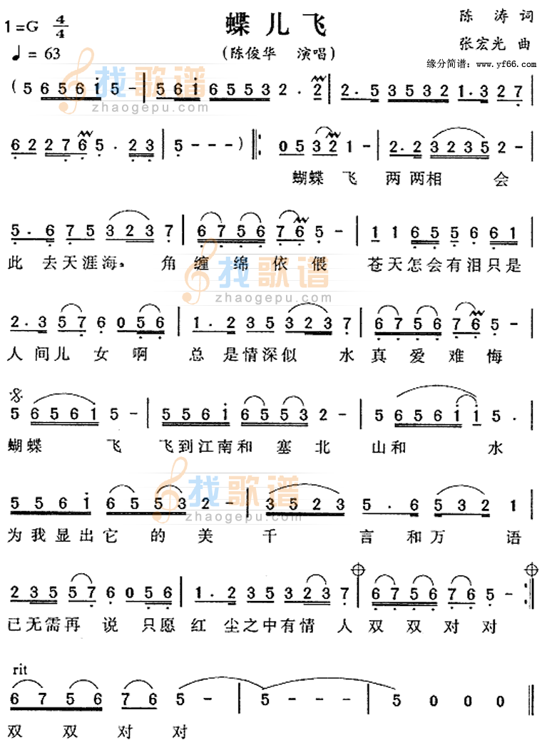 蝶儿飞