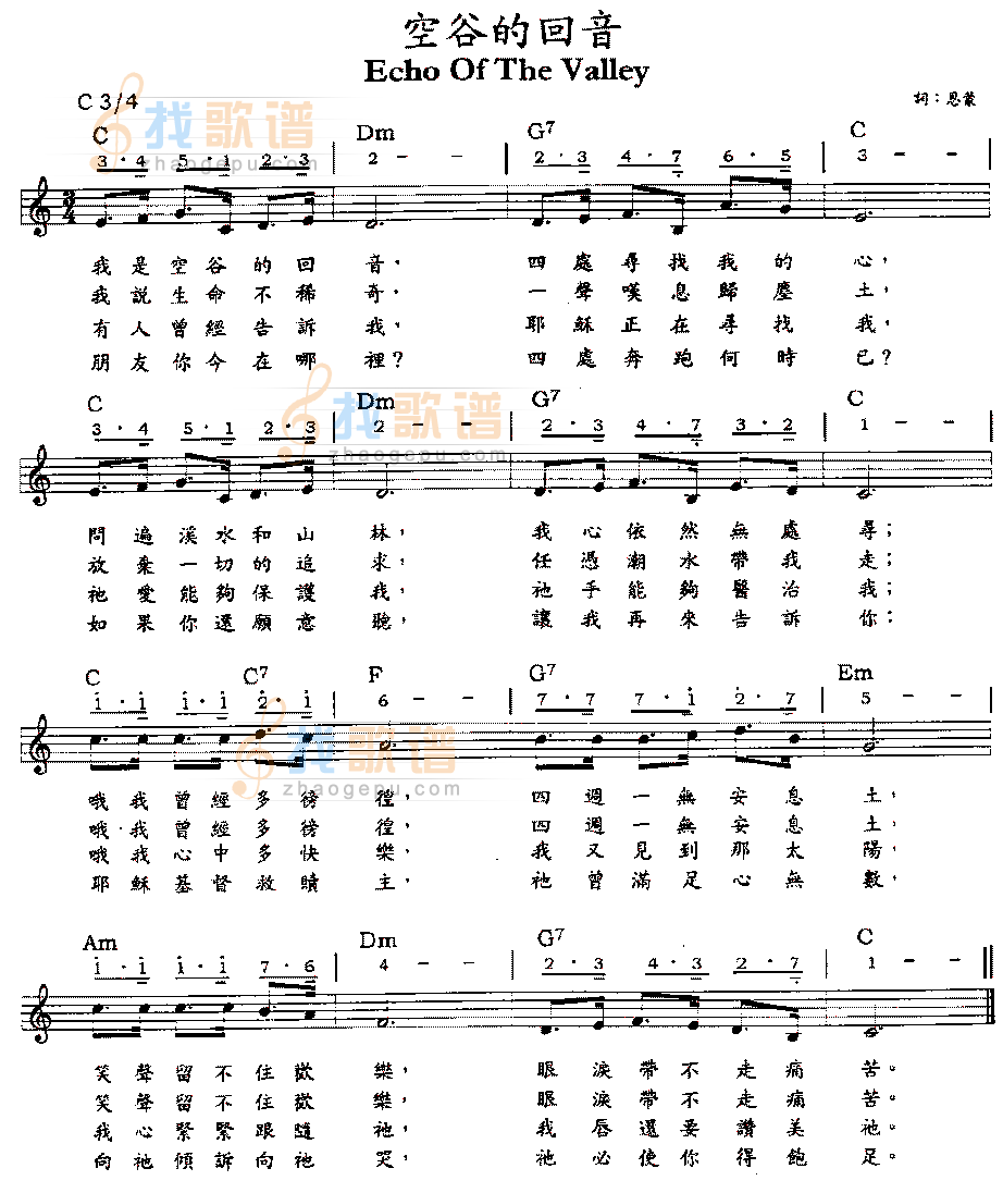 空谷的回音 