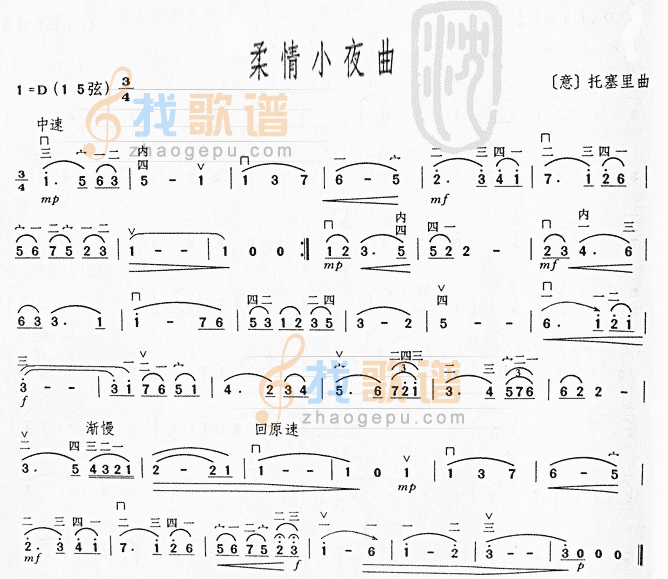 柔情小夜曲