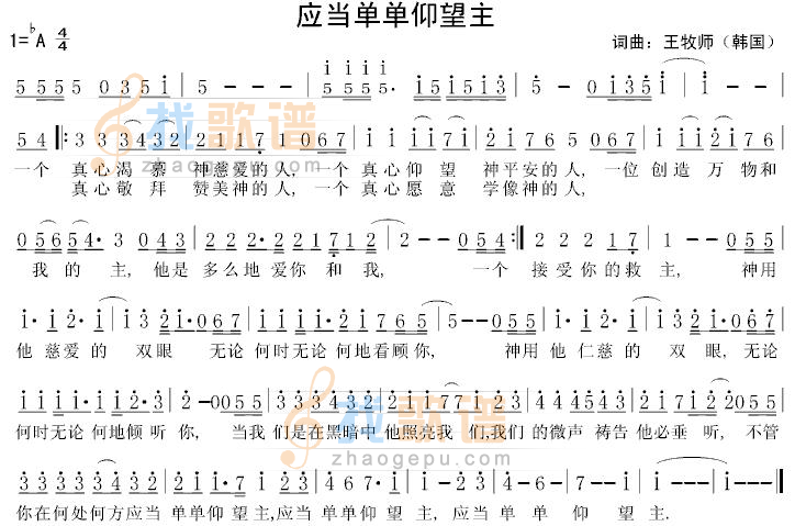 应当单单仰望神