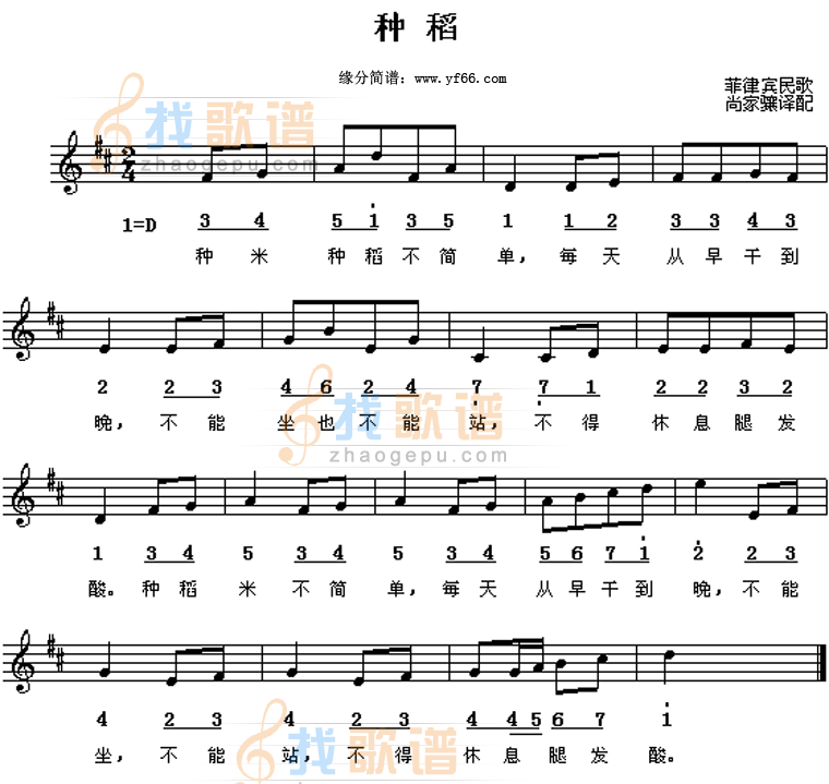 种稻