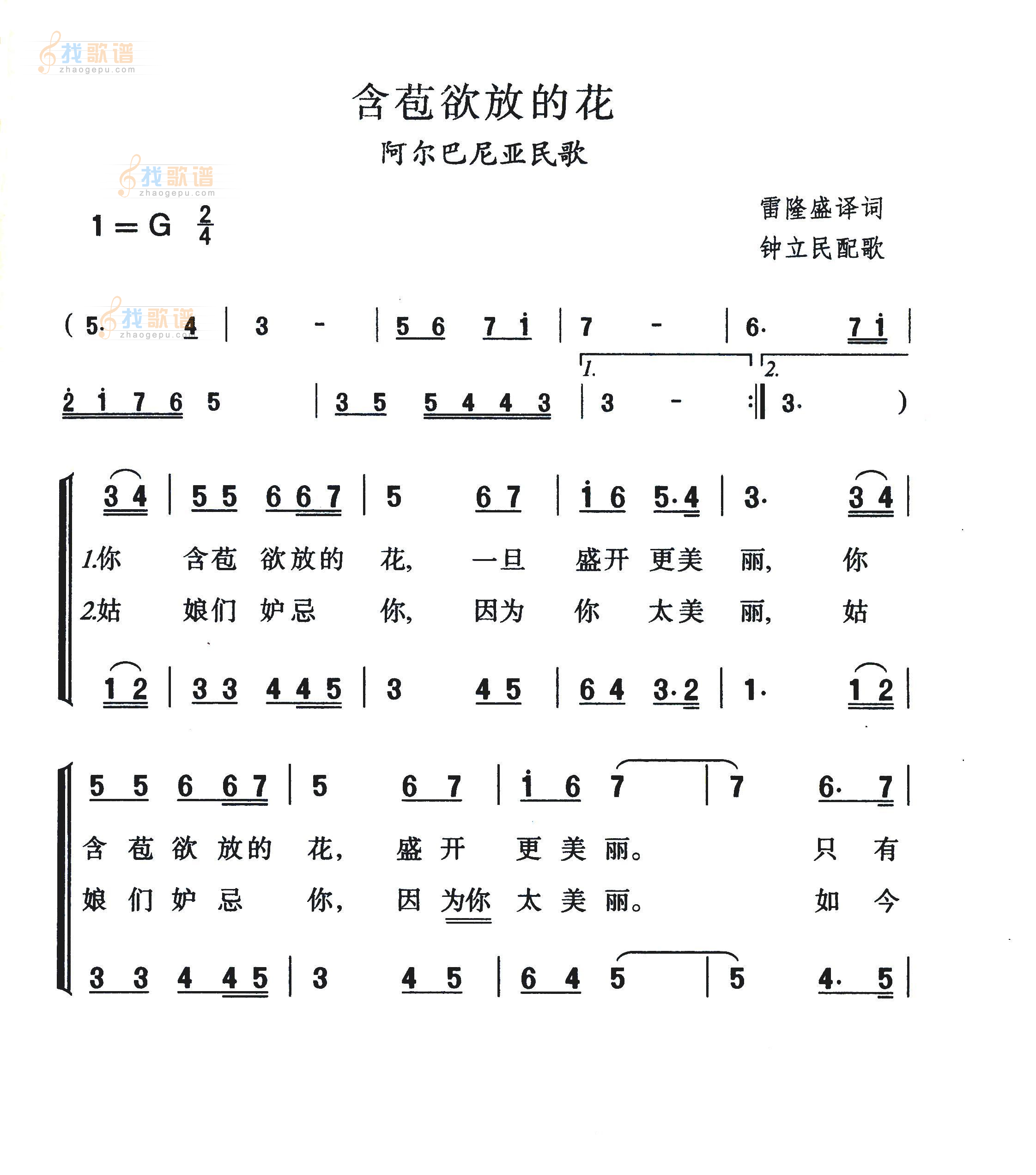 含苞欲放的花