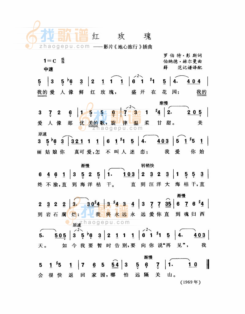 红玫瑰