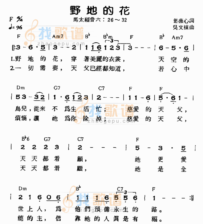 野地的花