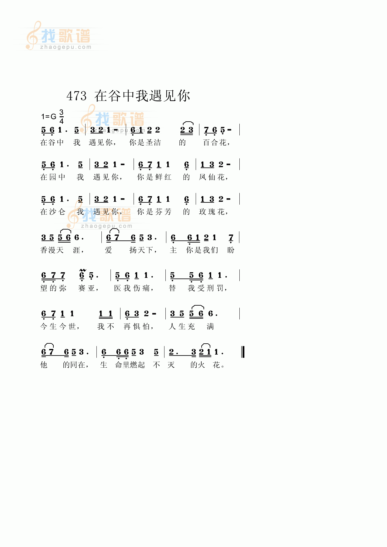 在谷中我遇见你