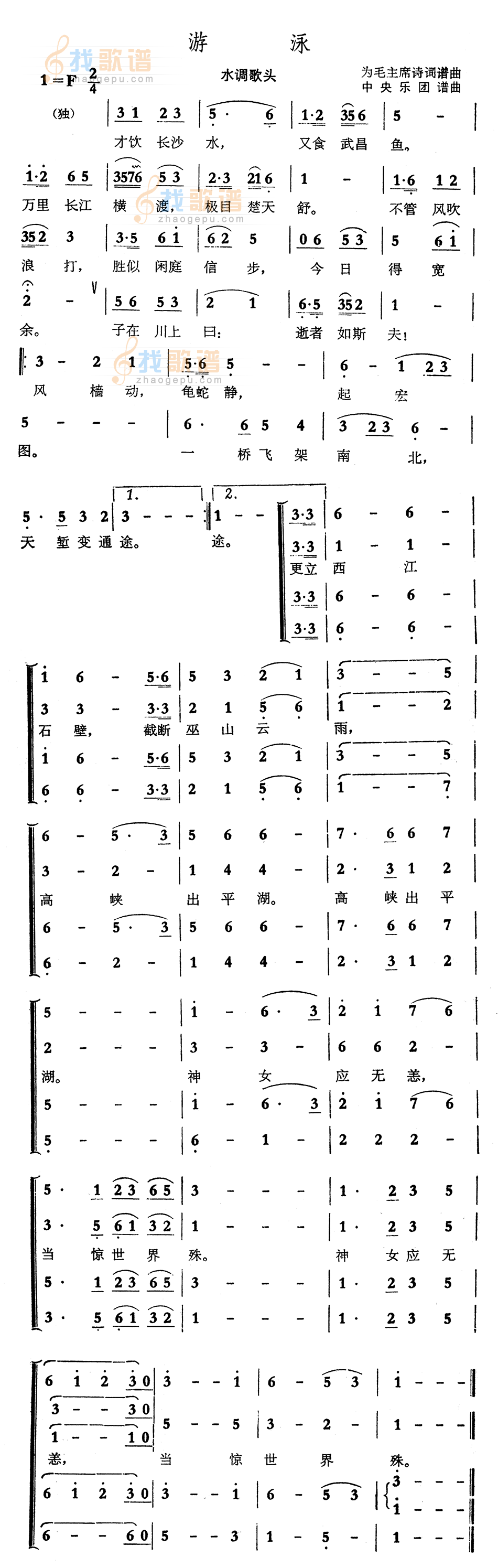 游泳