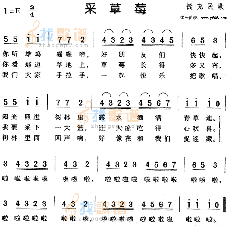 采草莓