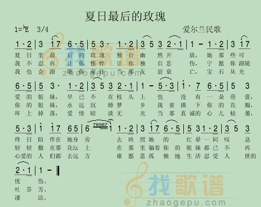夏日最后的玫瑰