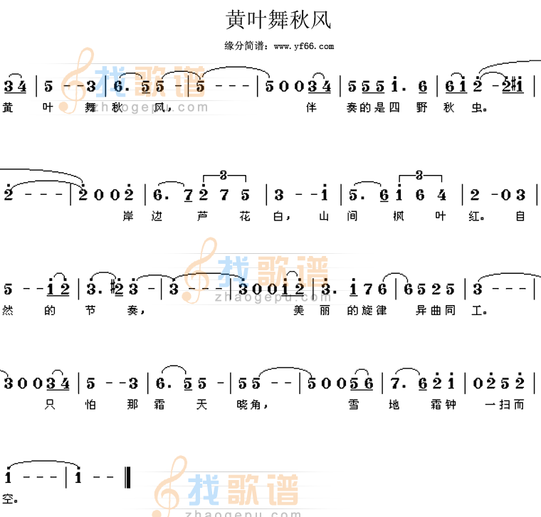 黄叶舞秋风