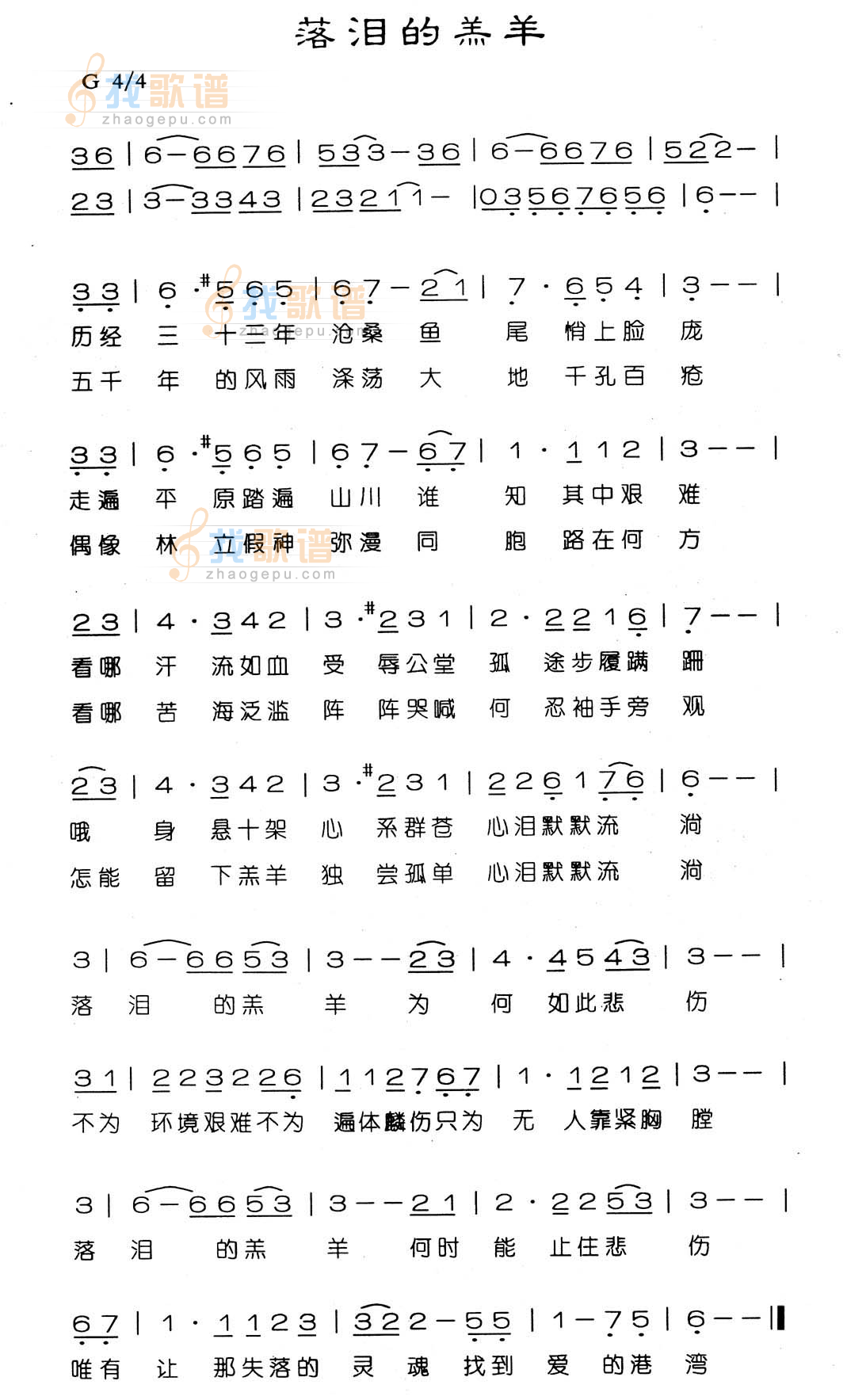 落泪的羔羊