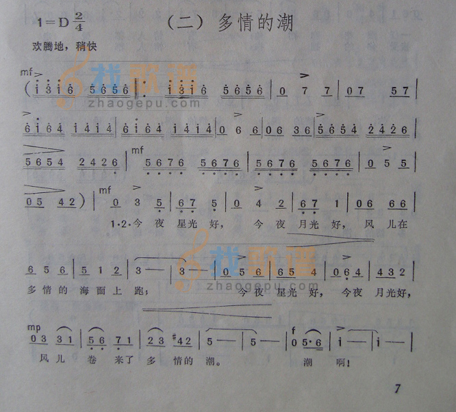 多情的潮