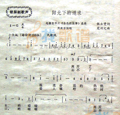 阳光下的追求