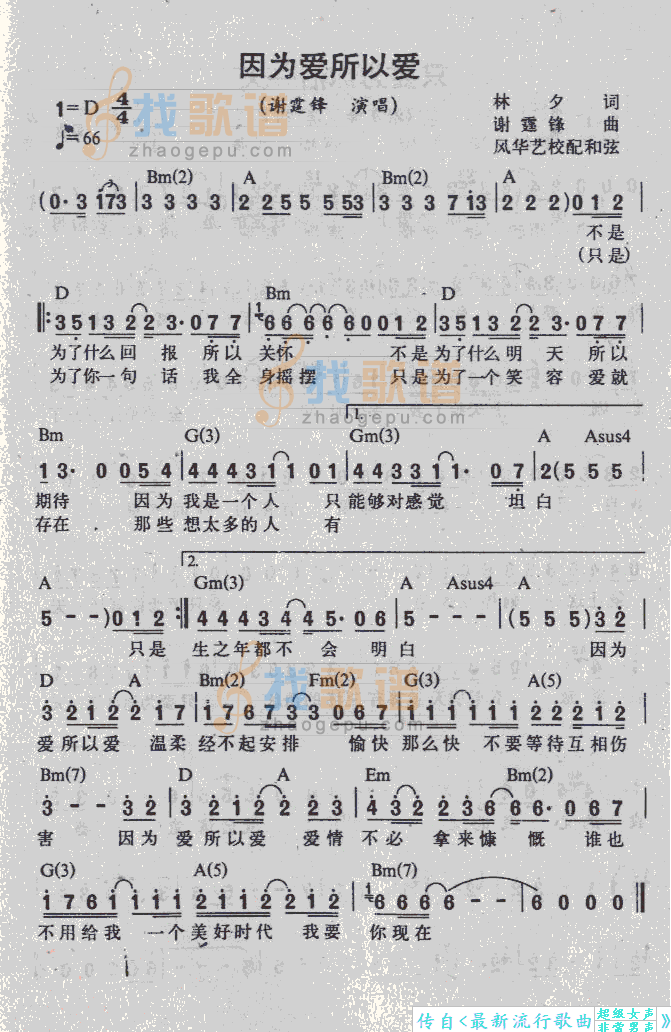 因为爱所以爱