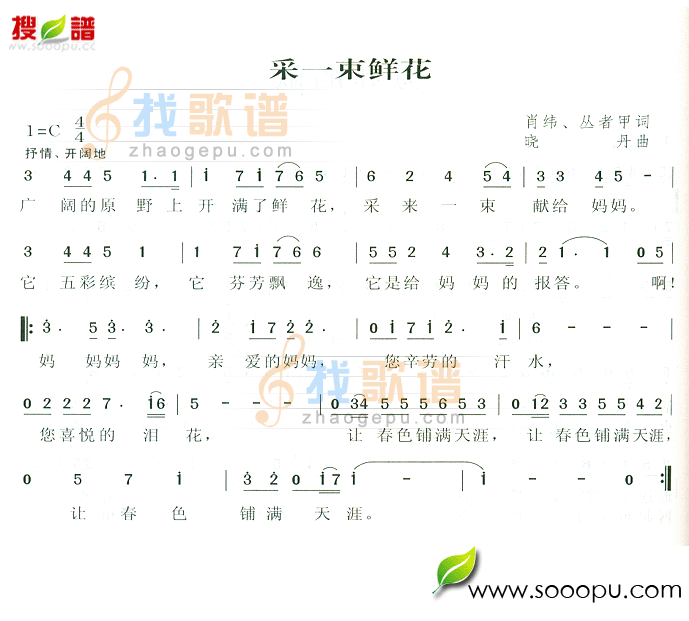 采一束鲜花