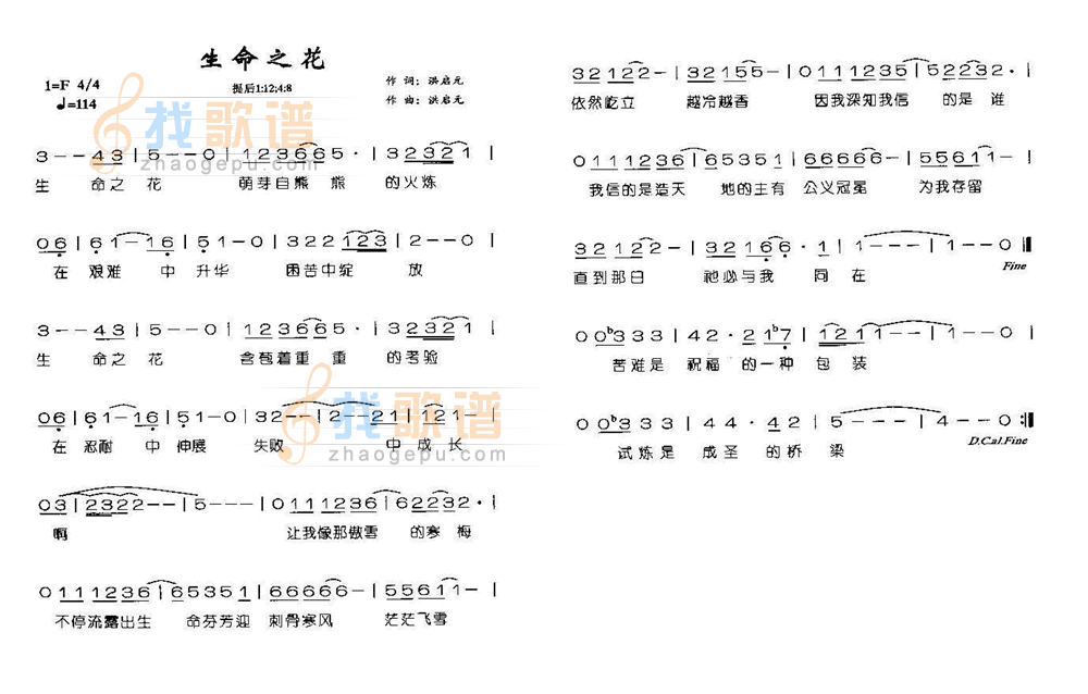 生命之花