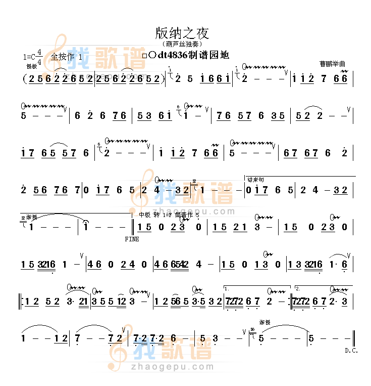 版纳之夜