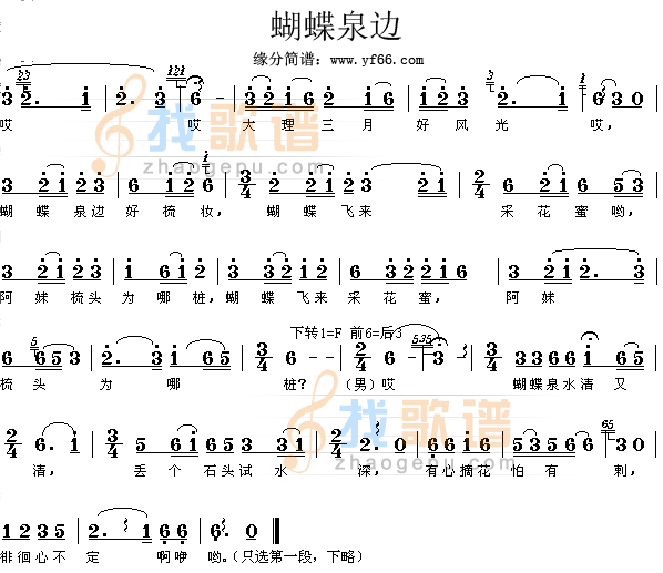 蝴蝶泉边