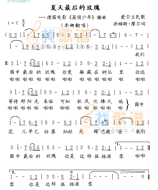 夏天最后的玫瑰