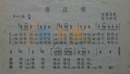 看庄稼
