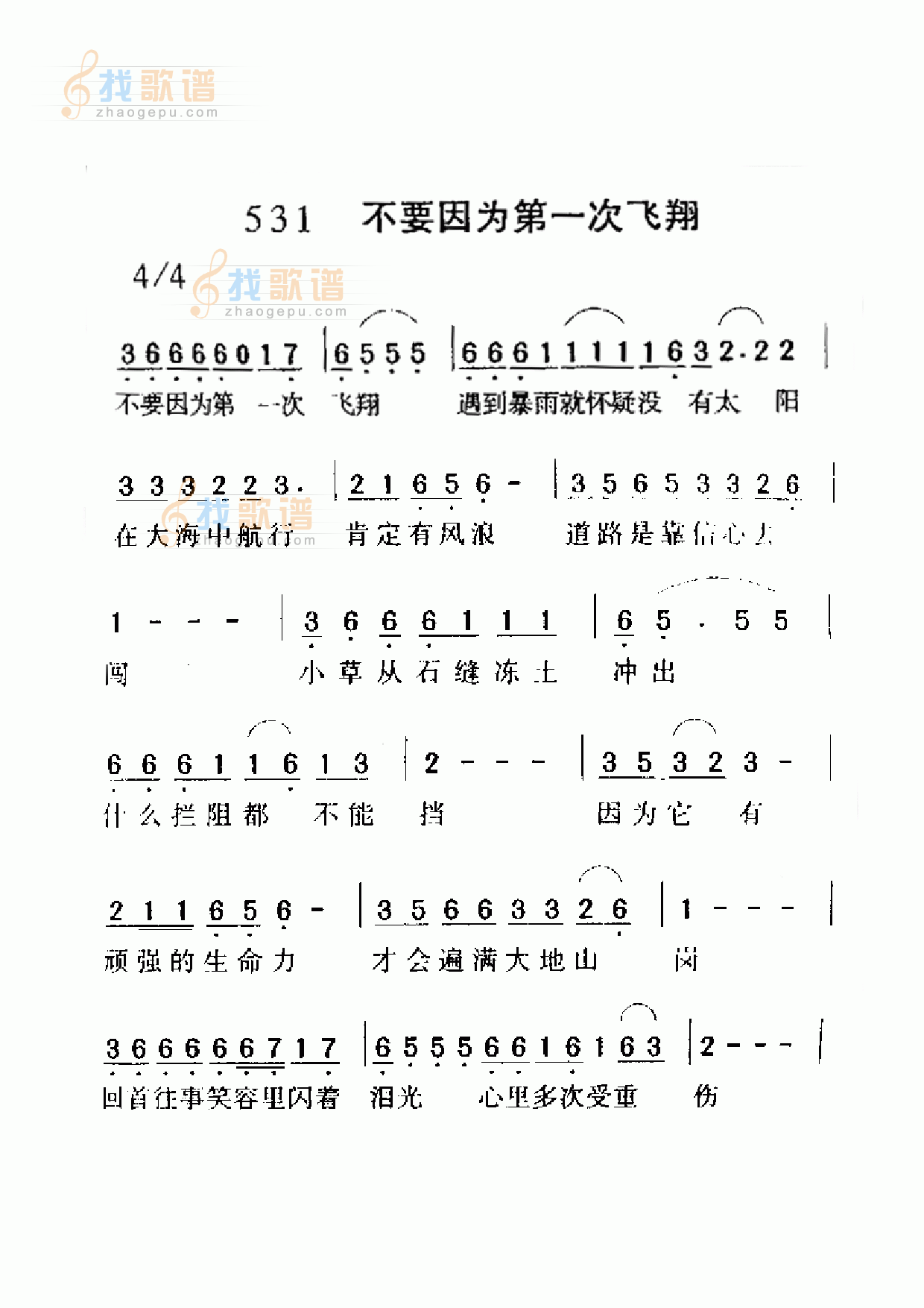 不要因为第一次飞翔