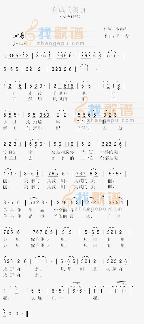 真诚的美丽(王莹)