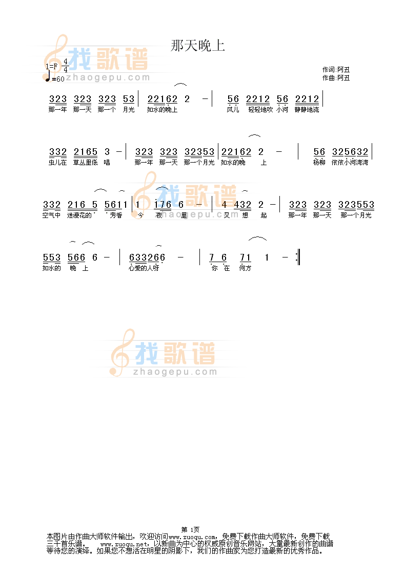 那天晚上