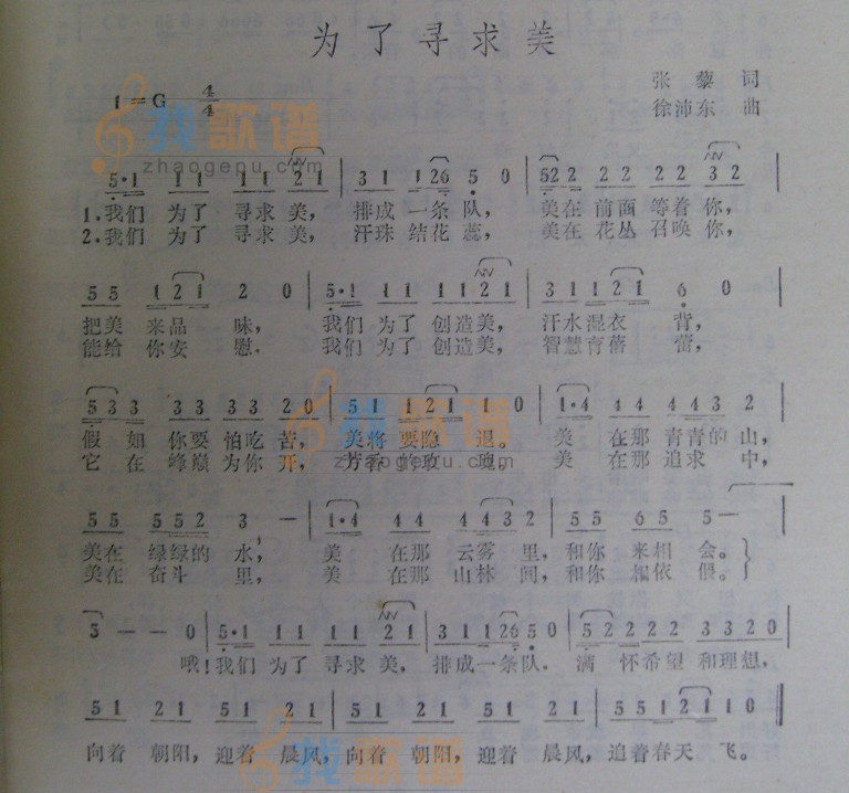 为了寻求美