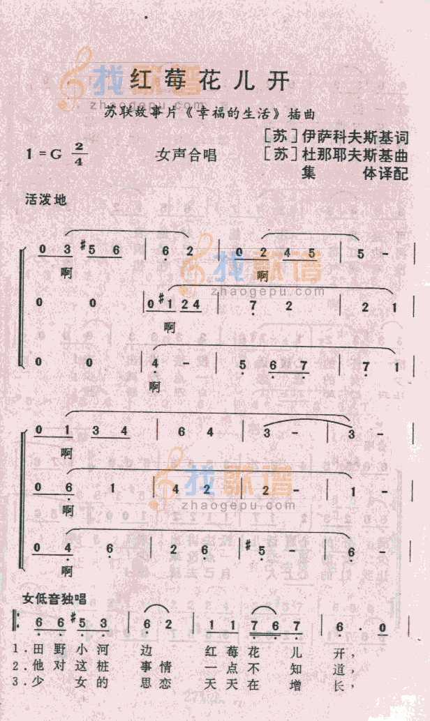红莓花儿开