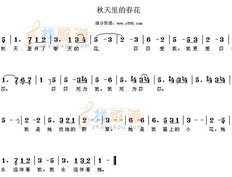 秋天里的春花