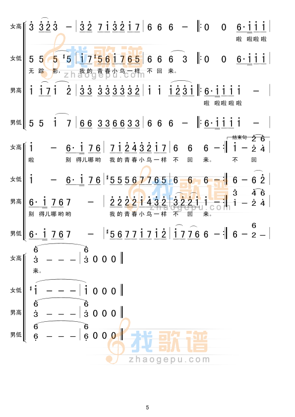 青春舞曲