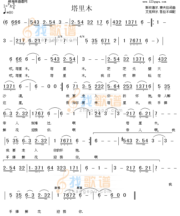 塔里木(新疆民歌)